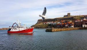 A seagull flies past a boat and town on the coast line