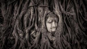 Mathew Browne/ Historic Photographer of the Year