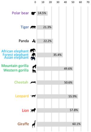 A chart showing that 60 per cent of people did not know giraffes were a vulnerable species