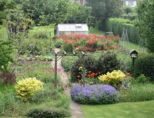 A garden with flowers and a greenhouse
