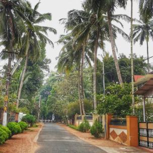 Street in Kerala