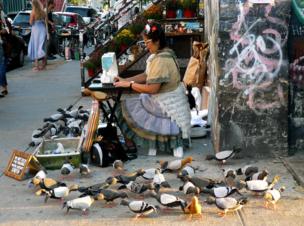 A woman using a sewing machine in a street, surrounded by model pigeons