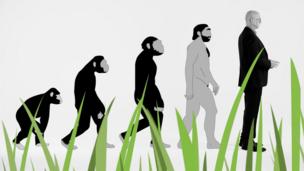 Evolution of humans from four legs to two legs