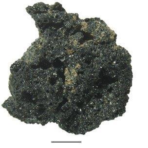 ரொட்டியின் பழமையான வரலாற்றை அறிவீர்களா?