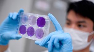 Un técnico trabaja en un laboratorio.