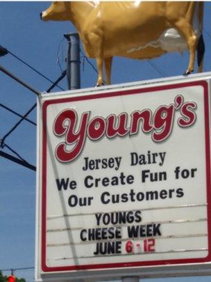 Young's Dairy