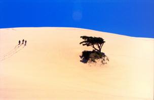 in_pictures In the Sand Dunes Frontier Park, in Oregon, USA, three hikers trudge their way up a steep hill in the soft sand