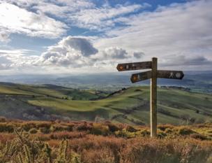 Signpost in the countryside