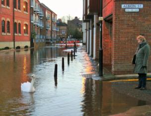 A woman watches as a swan swims past a flooded street