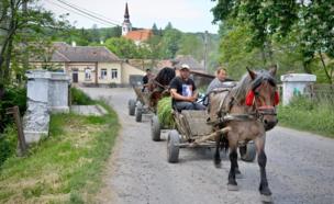 People ride on a horse and carriage carrying hay