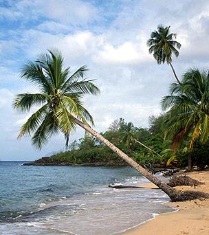Beach in Vieux Bourg, Guadeloupe