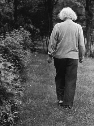 Einstein de espaldas caminando,.