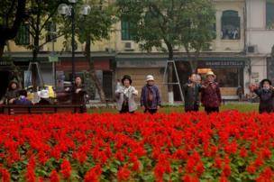 Elderly women exercising in front of bright red flowers