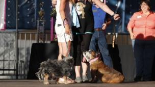 Megan Brainard (R) from Minnesota, and her dog Zsa Zsa, an English Bulldog and Yvonne Morones (L) and her dog Scamp, a mix breed, hug