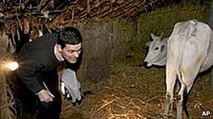 David Miliband enters a cowshed in Semra