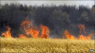 Dry grass burns near the town of Voronezh 500km (294 miles) south of Moscow, 31 July 2010