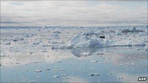 Arctic Ocean - file image