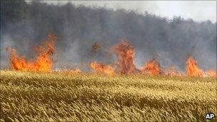 Cereals burning near the town of Voronezh