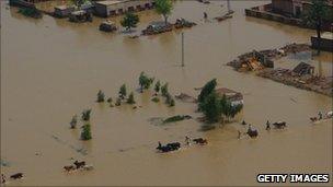 Farmers lead their animals through floodwaters in Pakistan