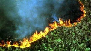 Forest burning near Serra dos Orgaos national park in Rio de Janeiro state, September 1999