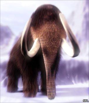 Woolly mammoth (Image: Science Photo Library)