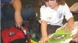 Batman the greyhound helps a child to read out loud