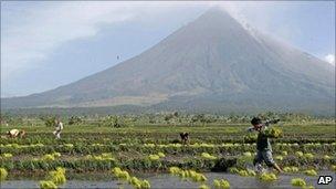 Farmers plant rice near the foot of Mayon volcano in central Philippines