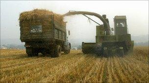 A self-propelled combine harvester on a field near a village of Meshcherskoye, some 50 km south of Moscow