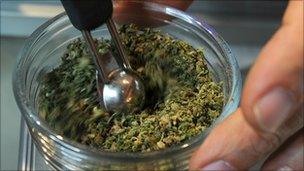 Cannabis at a medical marijuana shop in Los Angeles (AFP)