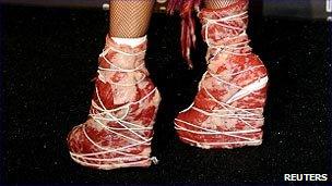 Lady Gaga's meat shoes