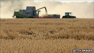 Rye harvest in Mahlow, Germany - file pic