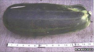 Courgette used by woman to repel bear