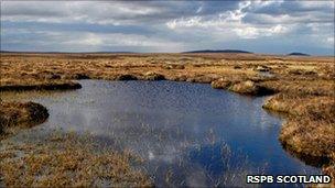 Flow Country. Pic: RSPB Scotland