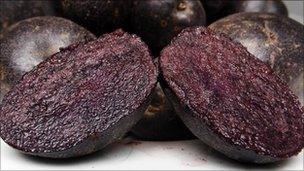 Purple Majesty potato