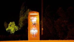 Phone box art gallery