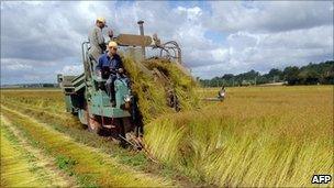 Harvest in France (file pic)