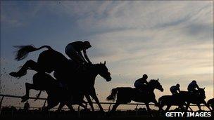 Horses jumping over a hurdle at sunset