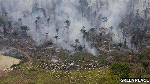 Forest clearance in Brazil (2008)