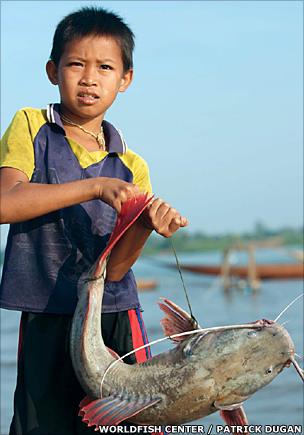 Boy with catfish