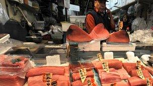 Tuna fillets are displayed at a fish shop in Tokyo's Tsukiji fish market on March 19, 2010.