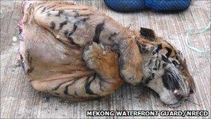 Half of a tiger (Image: Mekong Waterfront Guard and Natural Resources and Environmental Crime Suppression Division (Thailand))