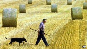 A German farmer - file pic