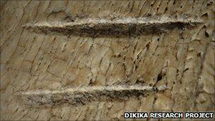 Bone marks (Dikika Research Project)
