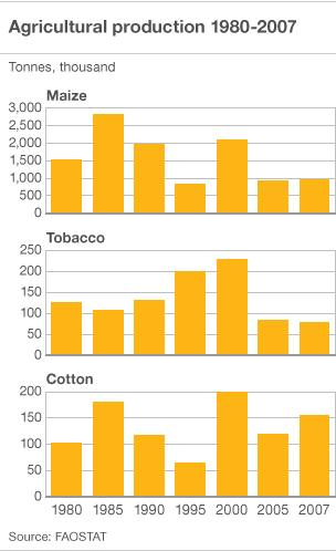Graph showing Zimbabwe's production of maize, tobacco and cotton 1980-2000