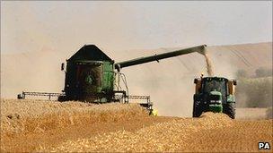 Harvest in Cambridgeshire, UK - file pic