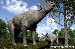 Artwork of a female Paraceratherium and her young, an extinct mammal weighing some 15 tonnes which lived in Asia 30-25 million years ago