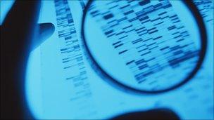 Examining DNA, SPL