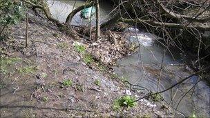 Afon Goch Llanberis (pic: Environment Agency)