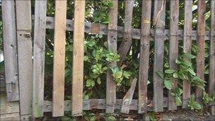 Broken fence