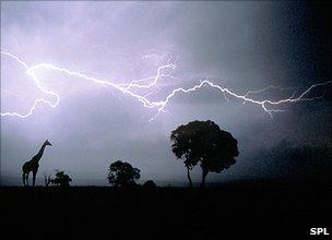 Lightning over Africa (SPL)